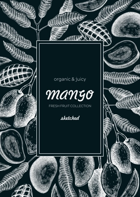 Fruit design template on chalkboard. Realistic mango hand-drawn vector illustration. Exotic fruit, mango tree branches, leaves sketches. Vintage frame, packaging, Healthy food. Summer design element